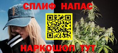apvp Можга