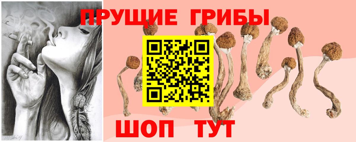 Псилоцибиновые грибы ЛСД Чебаркуль