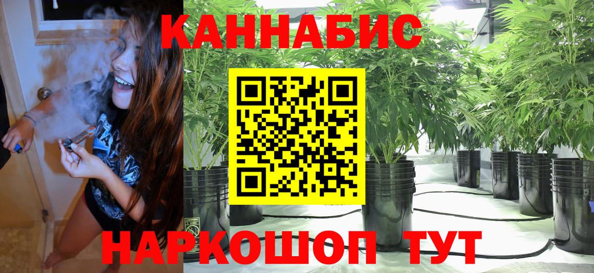 Каннабис SATIVA & INDICA  Бошки Шишки план  Марихуана план  Чебаркуль  Вход с VPN  Бошки Шишки Ganja 